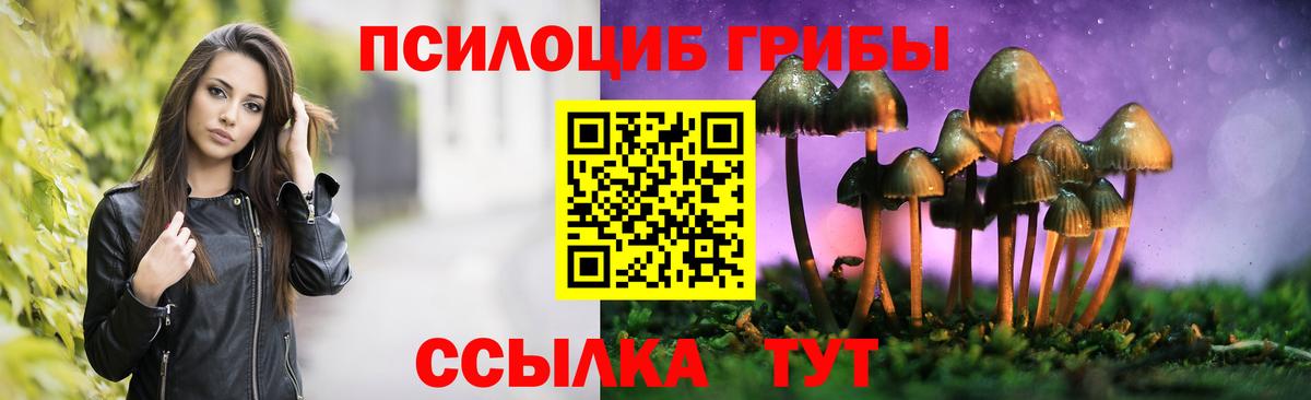 Галлюциногенные грибы Magic Shrooms  Вход с VPN  Верхняя Пышма  Псилоцибиновые грибы прущие грибы 